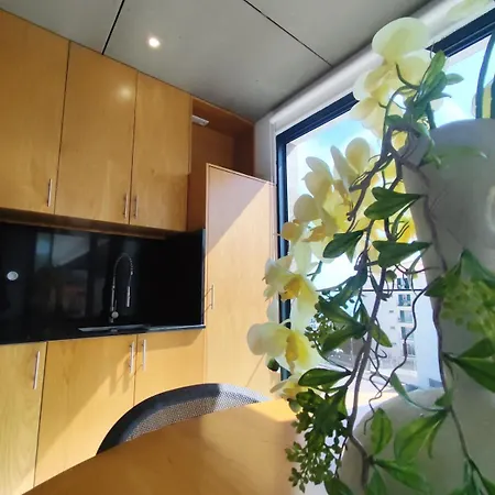 Da Vargem - Premium 3-bedroom Penthouse With Rooftop, Jacuzzi & Bbq *